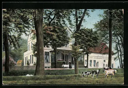 AK Schönebeck /Bremische Schweiz, Forsthaus Alte Weide mit Kühen