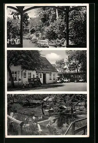 AK Vogelsang über Torgau, Gasthaus Vogelsang, Garten, Uferpartie