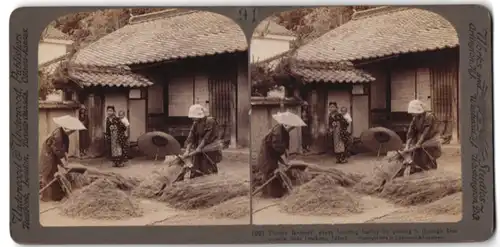 Stereo-Fotografie Underwood & Underwood, New York, Ansicht Iwakuni, Bäuerinnen bei der Arbeit