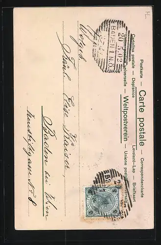 Lithographie Junge Dame und Männchen machendes Schwein, Neujahrsgruss