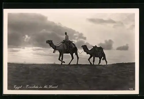 AK Ägypten, Kamele mit Reiter am Abend in der Wüste