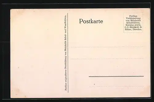 AK Löwenpaar auf der Jagd