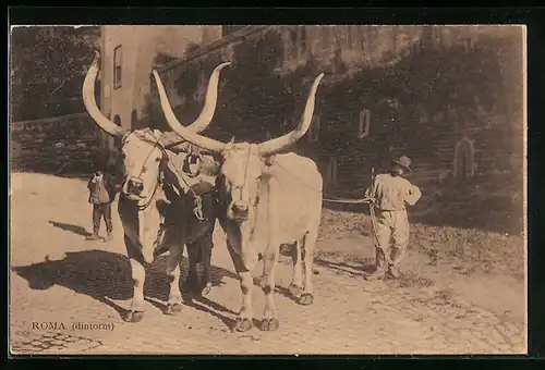 AK Rom, Bauer mit zwei Rindern auf der Strasse