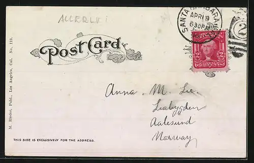 AK Esel mit säugendem Fohlen in der Mittagspause