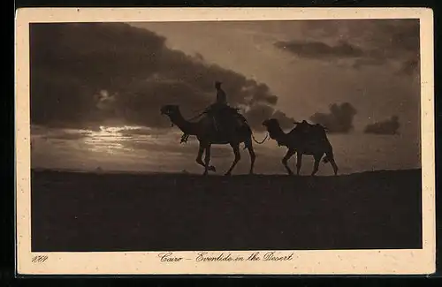 AK Cairo, Eventide in the Desert