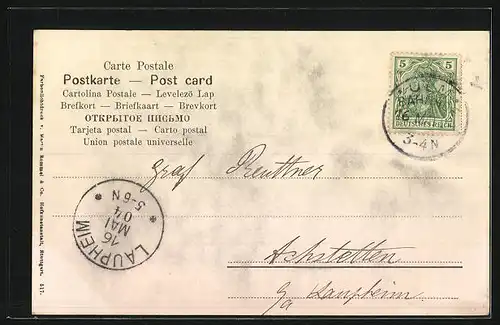 AK Zwei Maikäfer krabbeln auf einem Birkenzweig