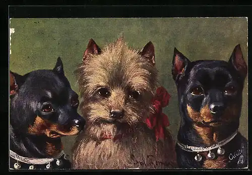 AK Drei Hunde mit Schleife und Glöckchen