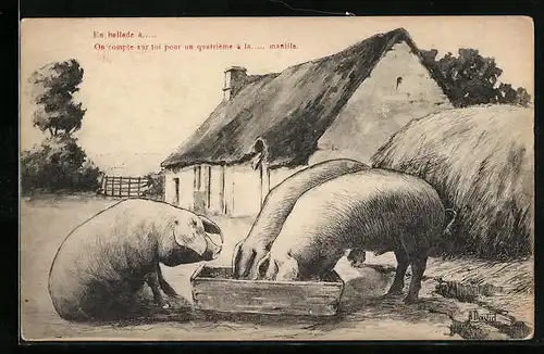AK Schweine am Futtertrog vor einem Bauernhaus