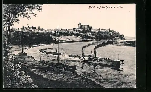 AK Belgern a. Elbe, Teilansicht mit Dampfern