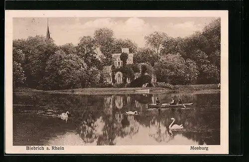 AK Biebrich a. Rhein, Mosburg mit Schwanensee und Ruderboot