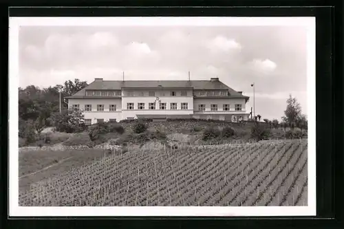 AK Rüdesheim am Rhein, Blick auf die Jugendherberge
