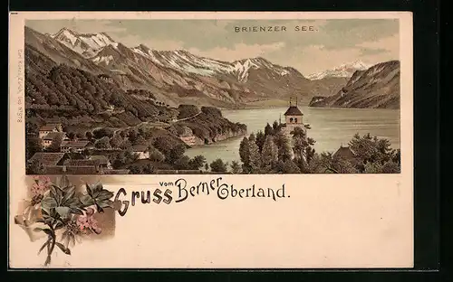 Lithographie Brienz, Teilansicht mit Blick über den Brienzer See