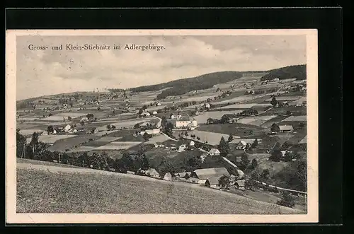 AK Gross Stiebnitz, Totalansicht von Klein- und Gross-Stiebnitz