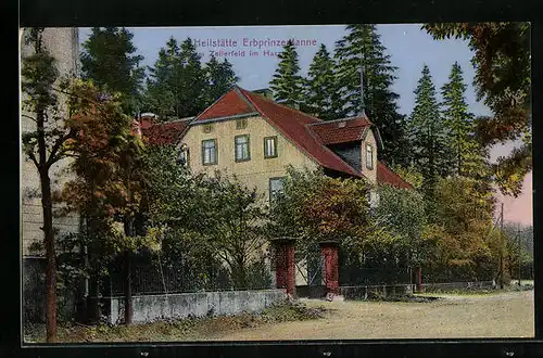 AK Zellerfeld im Harz, Heilstätte Erbprinzentanne