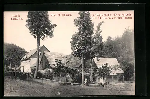 AK Kleingiesshübel, Gasthaus Rölligmühle im Krippengrund