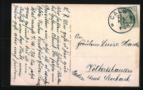 AK Calw, Neue Höhere Handelsschule und Handelsakademie