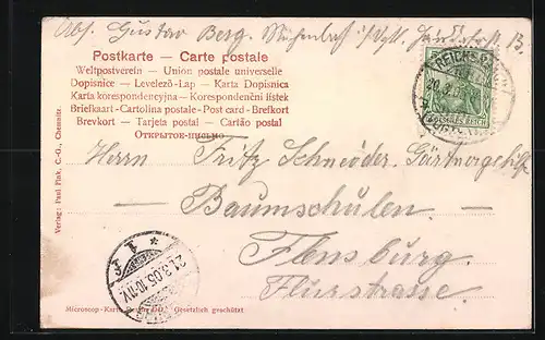 AK Reichenbach i. V., Markt, Pavillon am Teich