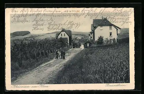 AK Kreiensen am Harz, Brunstein mit Landstrasse