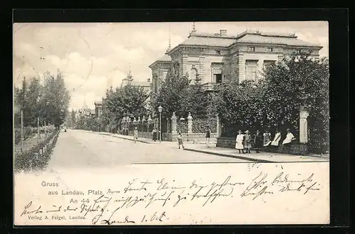 AK Landau /Pf., Strassenpartie mit Prachtvillen