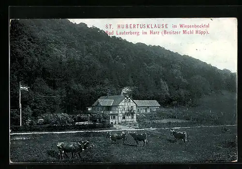 AK Bad Lauterberg /Harz, Gasthaus St. Hubertusklause hinter weidenden Kühen