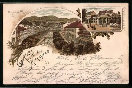 Vorläufer-Lithographie Karlsbad, 1893, Schlossbrunn, Alte und neue Wiese