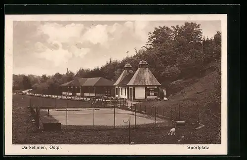 AK Darkehmen, Ansicht vom Sportplatz