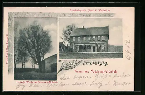 AK Vogelsang-Grünholz, Bahnhofs-Hôtel, Bes.: F. Wiedecke, Grösste Weide in Schleswig-Holstein