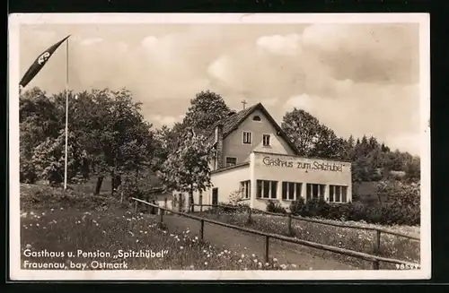 AK Frauenau /bay. Ostmark, Gasthaus u. Pension Spitzhübel