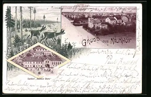 AK Naunhof, Teilansicht, Gasthof Goldener Stern aus der Vogelschau