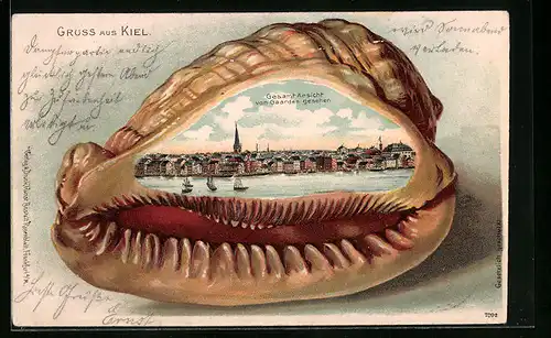 Passepartout-Lithographie Kiel, Gesamtansicht von Gaarden gesehen, Muschel