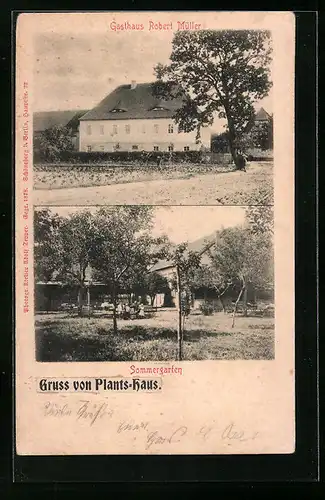 AK Elsnig, Gasthof Plants-Haus, Sommergarten