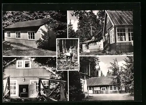 AK Neustadt /Rstg., Partien aus dem Kinderferienlager