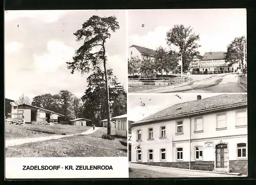 AK Zadelsdorf /Kr. Zeulenroda, Gasthaus zum Steinbock, Bungalowdorf an der Talsperre
