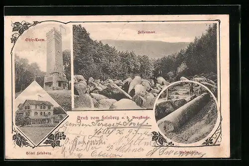 AK Felsberg a. d. Bergstrasse, Felsenmeer, Hotel Felsberg