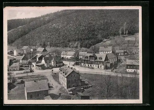 AK Niederpöbel-Schmiedeberg, Ortsansicht mit bewaldeten Berg