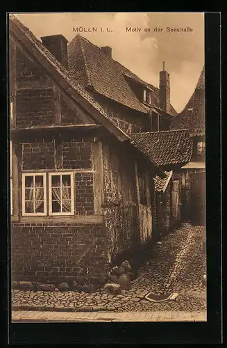 AK Mölln i. L., Motiv an der Seestrasse