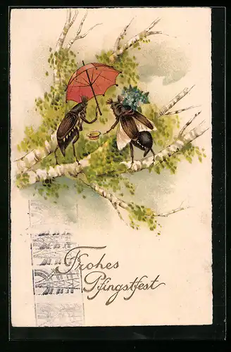 AK Maikäfer-Herr macht einer Dame seine Aufwartung