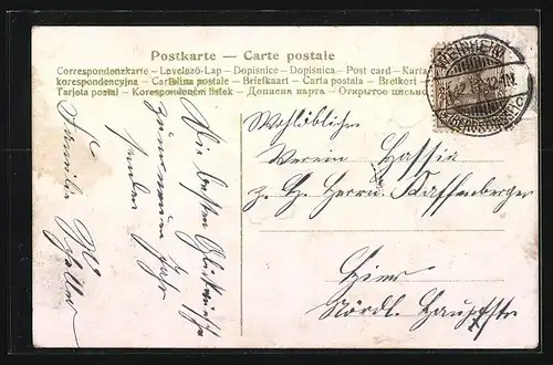 AK Schwein springt durch ein Hufeisen