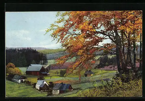 Künstler-AK Photochromie Nr. 139: Frauenbach bei Neuhausen, Ortsansicht im Herbst