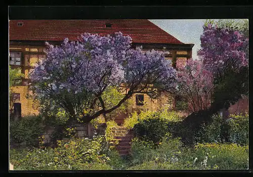 Künstler-AK Photochromie Nr. 4114: Blühender Flieder vor einem Haus