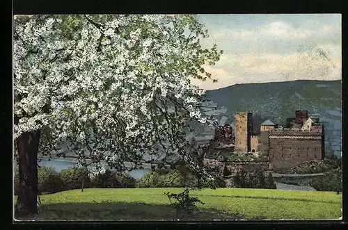 Künstler-AK Photochromie Nr. 2450: Blühender Baum vor einer Burg