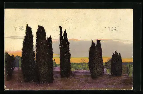 Künstler-AK Photochromie Nr. 2474: Zypressen in blühender Landschaft