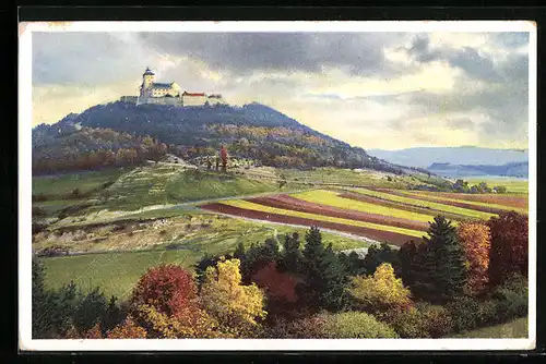 Künstler-AK Photochromie Nr. 5018: Burg und Felder im Herbst