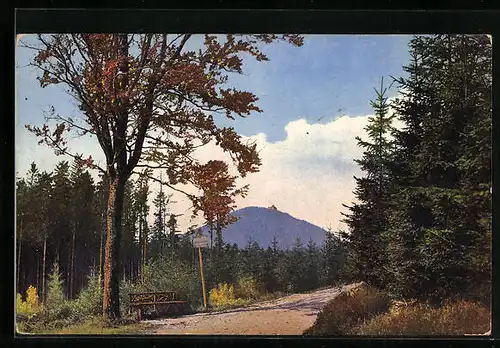 Künstler-AK Photochromie Nr. 3537: Wanderweg mit Bergblick