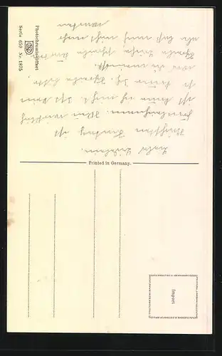 Künstler-AK Photochromie Nr. 1875: Blühende Edelrose