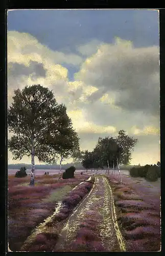 Künstler-AK Photochromie Nr. 2470: Strasse in einer Heidelandschaft