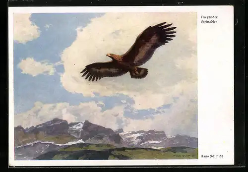Künstler-AK Fliegender Steinadler überm Gebirge