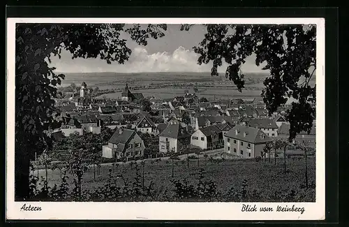 AK Artern, Blick vom Weinberg