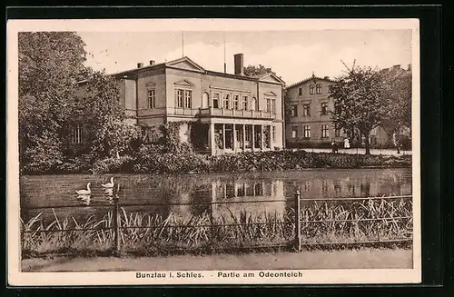 AK Bunzlau, Gebäude am Odeonteich