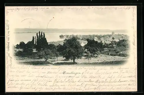 AK Ermatingen, Ortsansicht mit Umgebung und Wasserblick